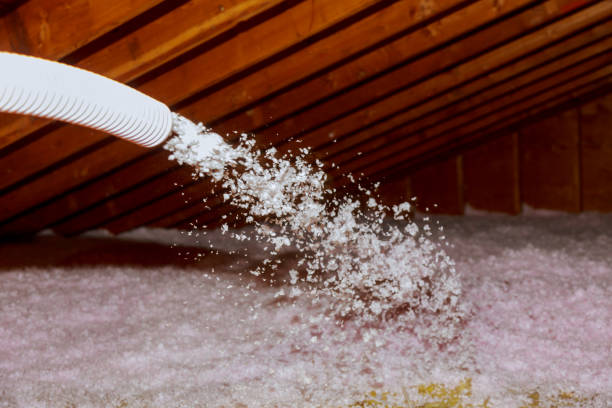 Best Residential Insulation in Holualoa, HI