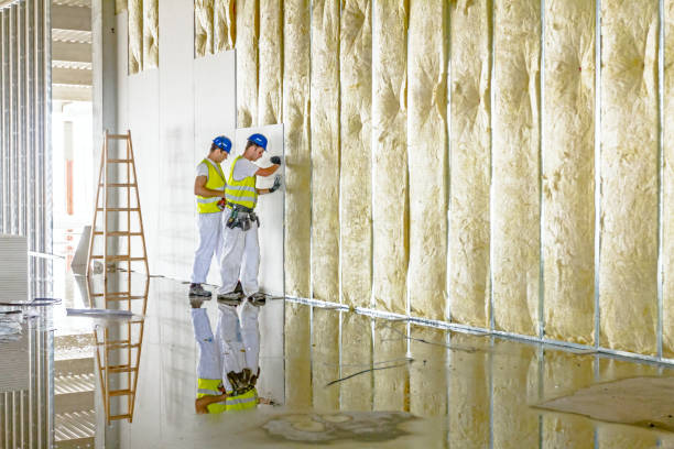 Professional Insulation Contractor in HI